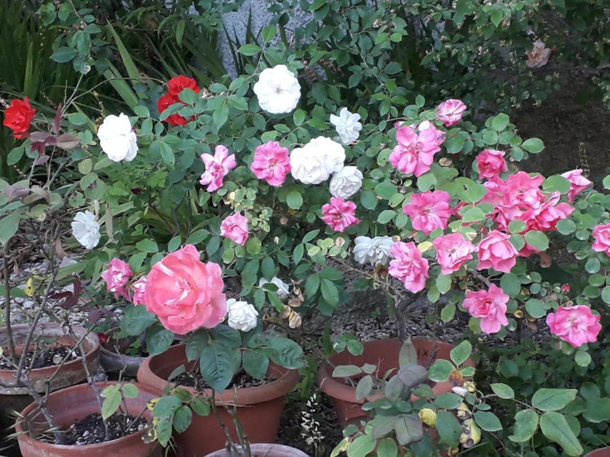 Tottubella B&B Domo De Pedra מראה חיצוני תמונה